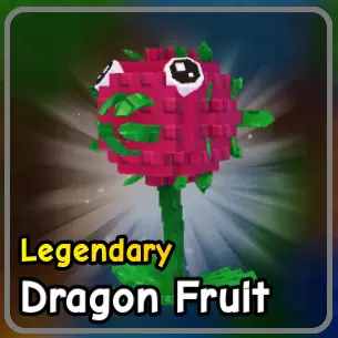 Dragon Fruit plant