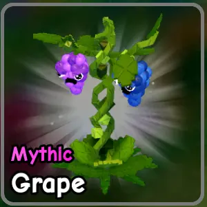 Grape plant