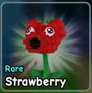 Strawberry plant