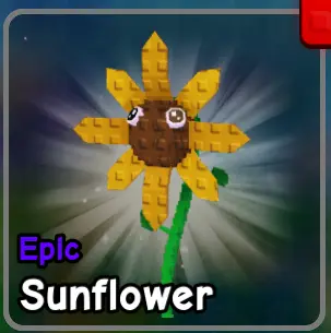 Sunflower plant