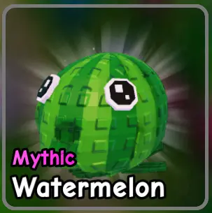 Watermelon plant